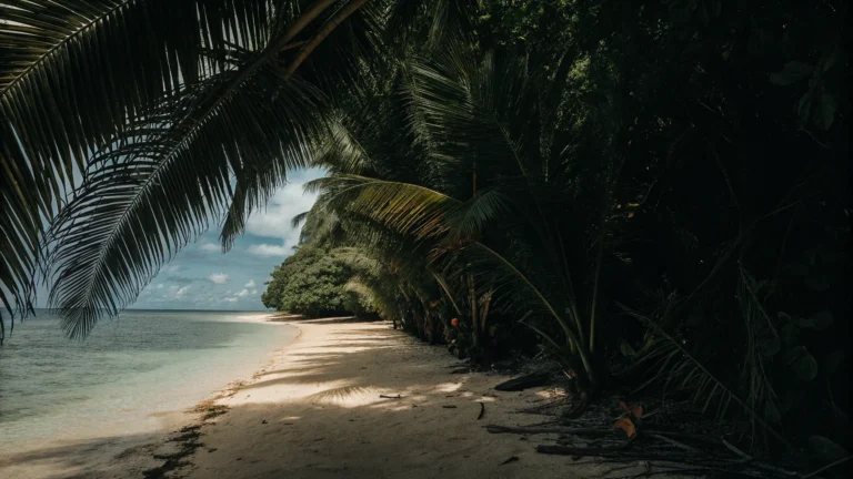 African Beaches