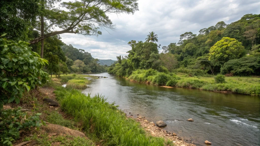 Ecuador Climate