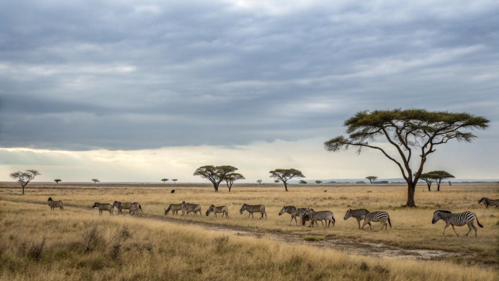 Best Time To Visit Namibia