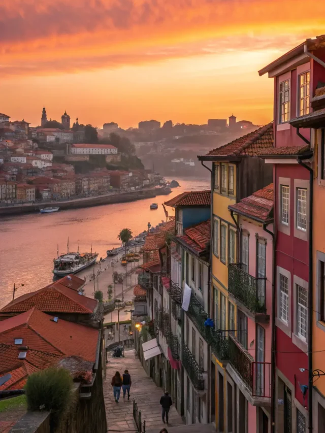 best neighborhood to stay in porto (4)